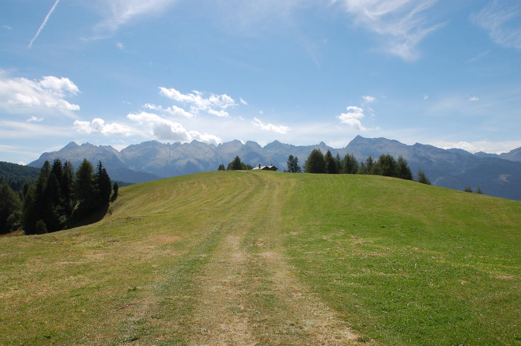 Cimon Dolomites Hotel Predazzo Εξωτερικό φωτογραφία